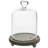 Mini Glass Dome Display Cloche