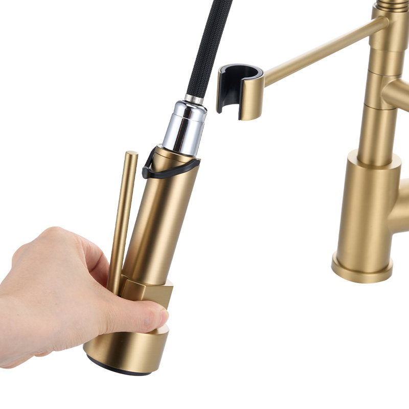 Belfry Kitchen Pull Out Kitchen Faucet, Gold