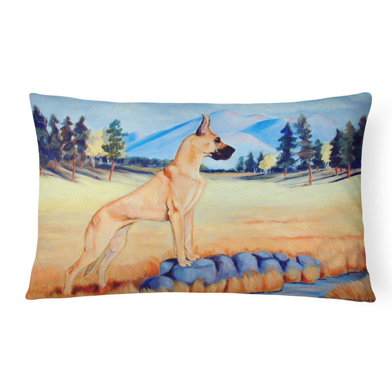 Coussin décoratif intérieur/extérieur magnifique