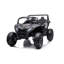 Voiture Dune Buggy-62260393