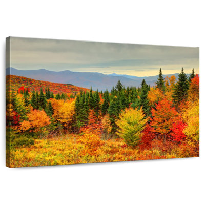Alvord White Mountains Autumn