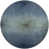 Gray/Blue