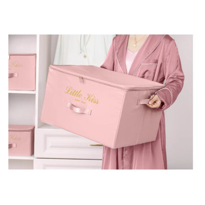 Boîte de rangement pour vêtements Hokku Designs