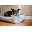 Lit pour chien Houndstooth-411679293-411679171