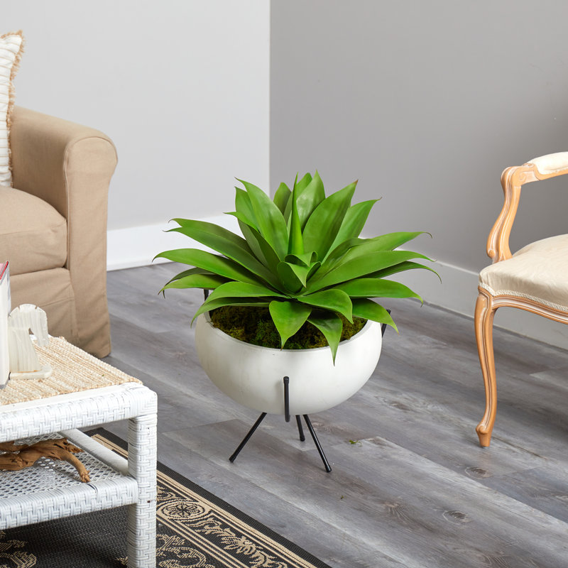 Plante grasse artificielle 30 po en pot
