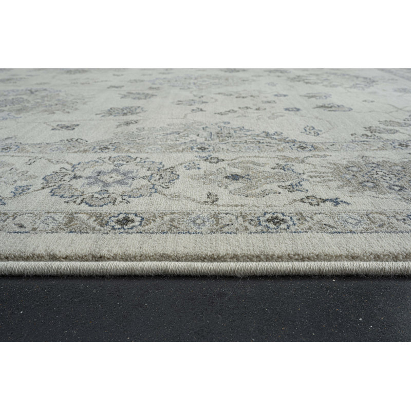 Abieyuwa Oriental Area Rug, Rectangle 160 x 230cm