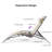Gerania Outdoor 69.3" Long Reclining Chaise Lounge Set With Detachable Pillow And Table-1204498902