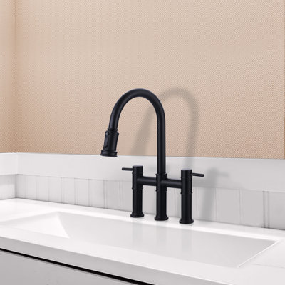 Aleasha Pull Out Kitchen Faucet