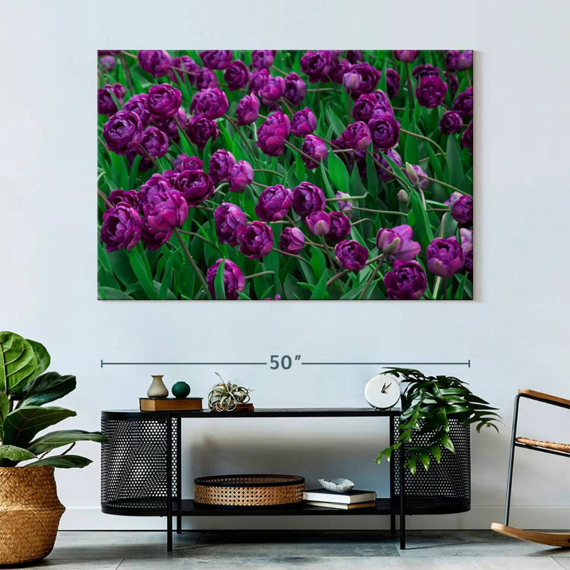 Tulipes violettes Alvord, H 34 po x l 51 po