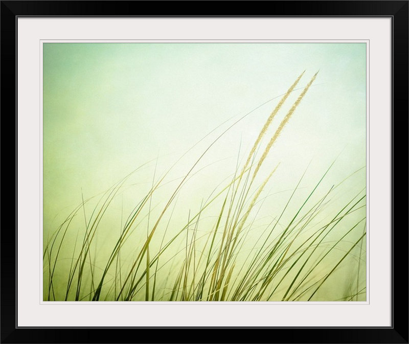 «Kema Just Breathe» par Carolyn Cochrane, reproduction de photo, H 24 po x l 28 po x P 1 po, Cadre noir