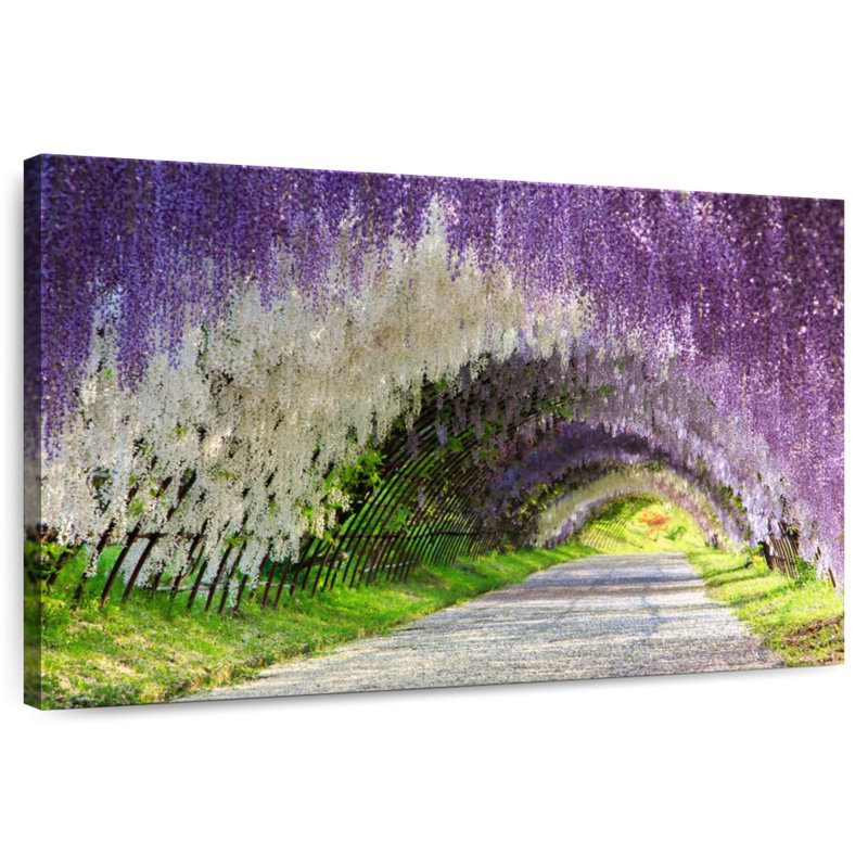 Harnek Kitakyushu Wisteria Tunnel, 20" H x 30" W