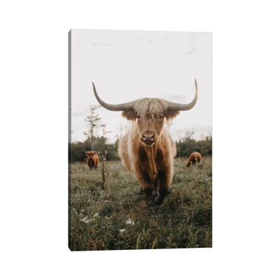 Highland Cow At Sunset by Chelsea Victoria - Wrapped Canvas Print