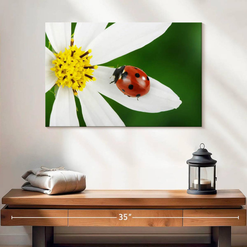Brampt Ladybug On White Flower, 16" H x 24" W