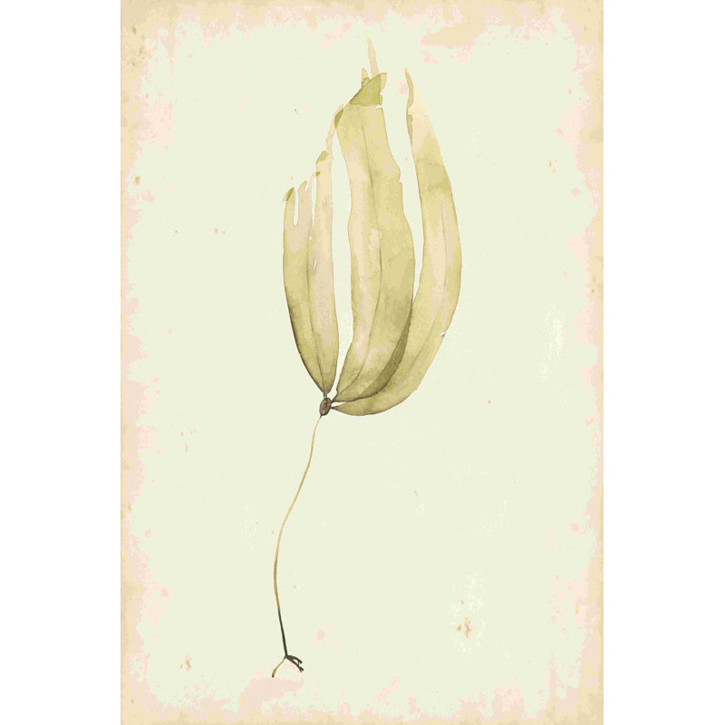Aquarelle d'herbe de mer III, H 18 po x l 12 po