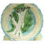 Asparagus Plate Dinner Set