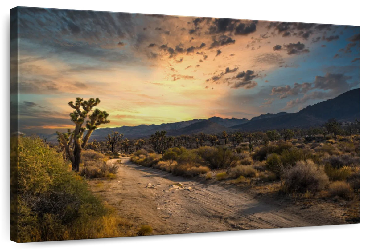 Millwood Pines Alvord Remote Desert Sunset | Wayfair