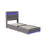 Upholstered Storage Bed-1683197962-1683197961