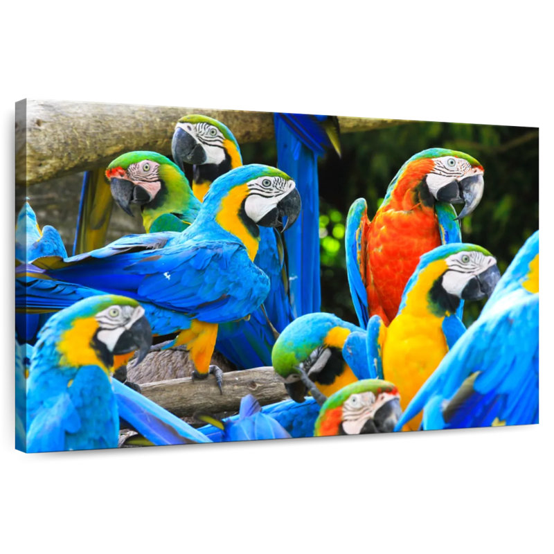 Brampt Flock Of Macaws, 20" H x 30" W