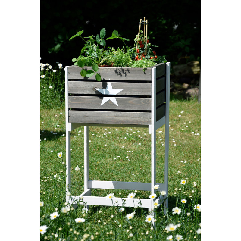 Aakil Wood Raised Garden Bed