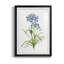 Blue Lived Botanical I - Cadre photo, reproduction d'art sur papier-847046997-847046999