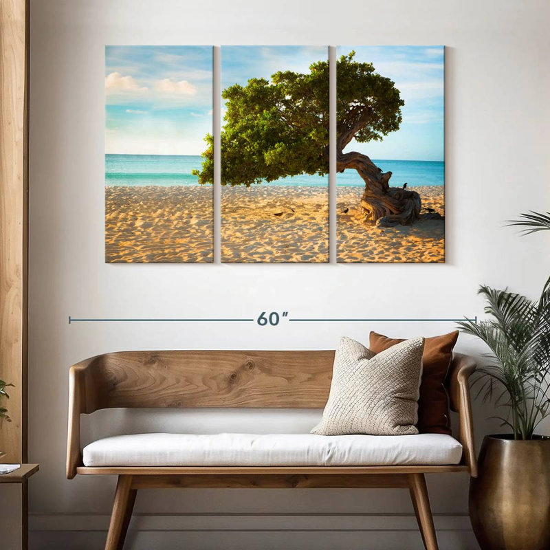 Arbre Gillard Divi-Divi à Aruba, H 32 po x l 50 po
