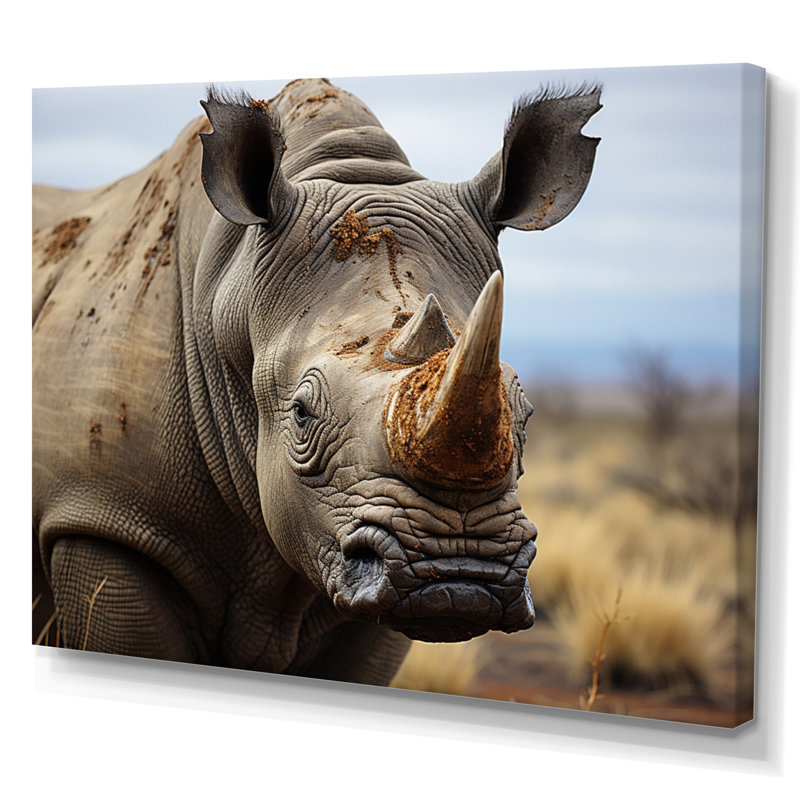 Rhinocéros, portrait monochrome, H 12 po x l 20 po x P 1 po, Toile tendue