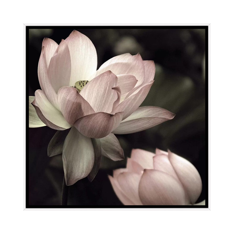 «The Lotus II» par Andy Neuwinth - reproduction, Cadre blanc, H 26 po x l 26 po x P 1,5 po