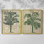 «Burlap Palm Silhouette III», reproduction encadrée de qualité supérieure - prête à être accrochée - aucun clou requis - aucun clou requis-1881880330-1881880337