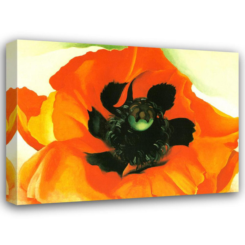 Poppy, 36" H x 48" W