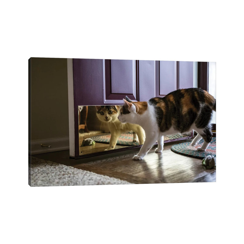 Chat calico regardant sa réflexion dans la porte par Janet Horton - photographie sur toile tendue, H 26 po x l 40 po x 1,5 po