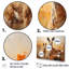«Kangaroo Golden Blooms Outback» sur toile-178362550-178362549