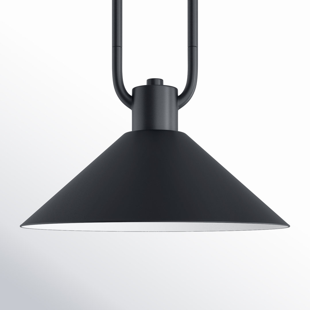 Fayra Industrial Pendant Joss & Main