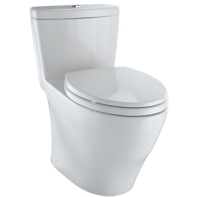 Aquia® Dual-Flush Elongated Bidet Toilet (Seat Included)