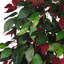 120cm Faux Ficus Plant in Pot Liner