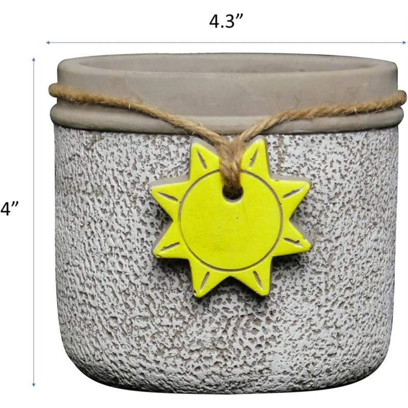 Royersford Pot Planter