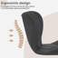 Mayetta Upholstered Faux Leather Adjustable Height Bar Stool-2102658713-1934249688