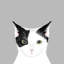 Chat, impression sur toile tendue-19741615-74756735-74756736