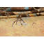 Tapis oriental en laine / soie Jud