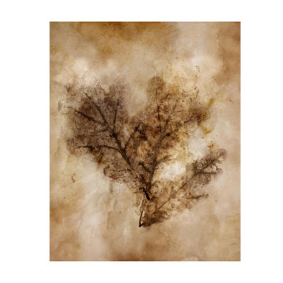 Autumnal Leaves IV Print by Mari Urasawa