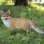 Walking Fox Statue