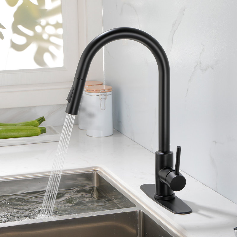 Single Hole Single Handle Pull-Down Kitchen Faucet, Matte Black