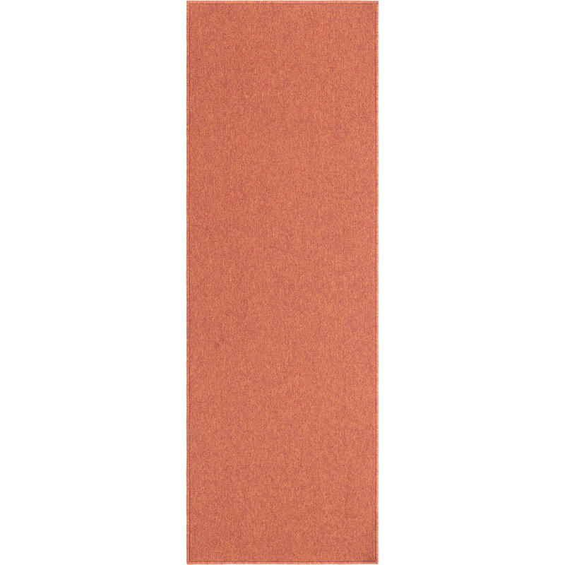 Indoor Rug, Runner 2' x 6'