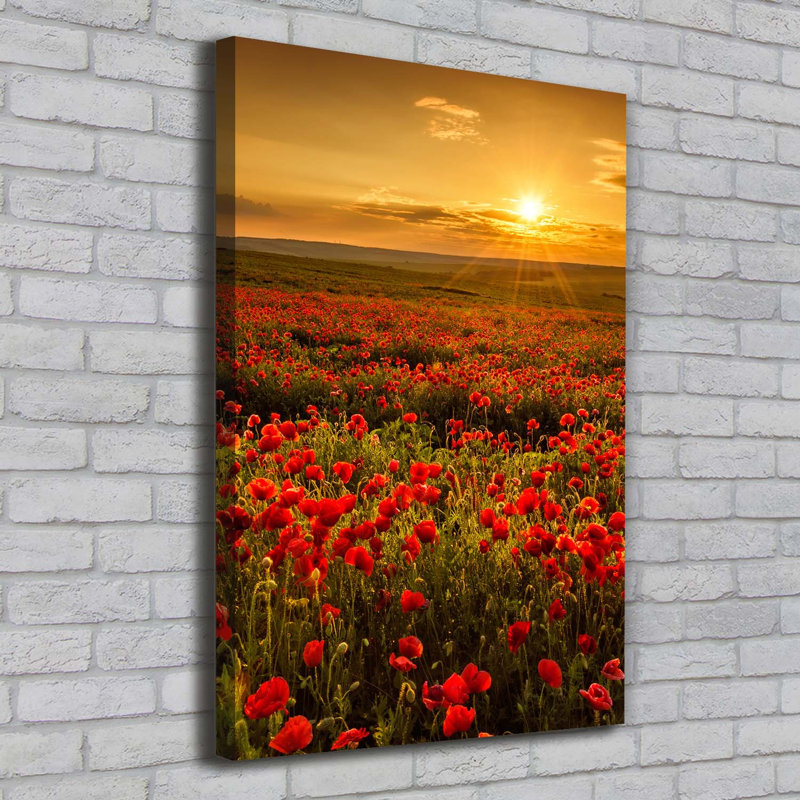 Field Of Poppies - Wrapped Canvas Print