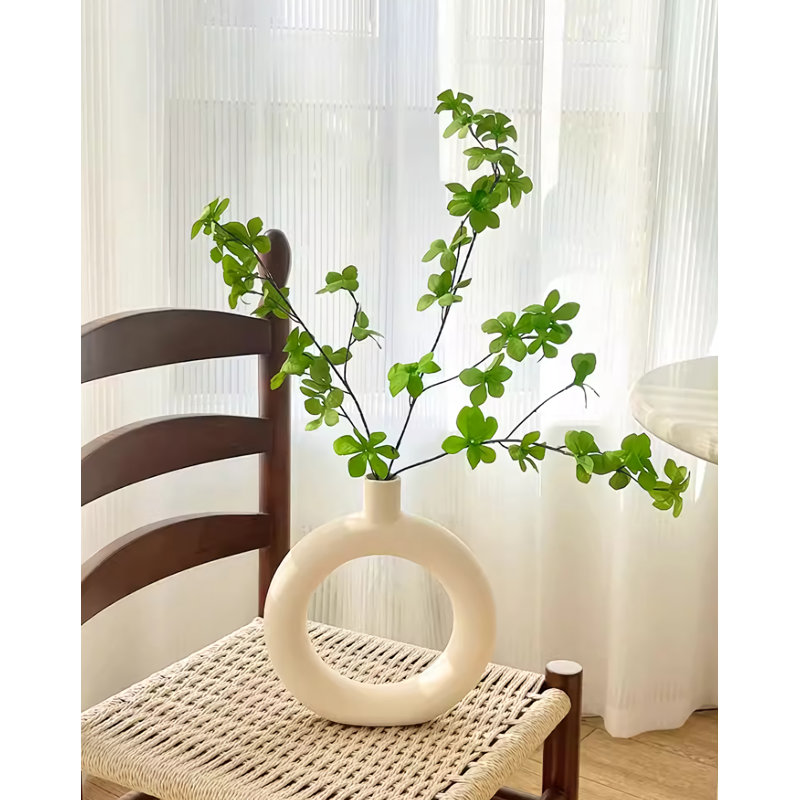 Marcai 9,65 plante