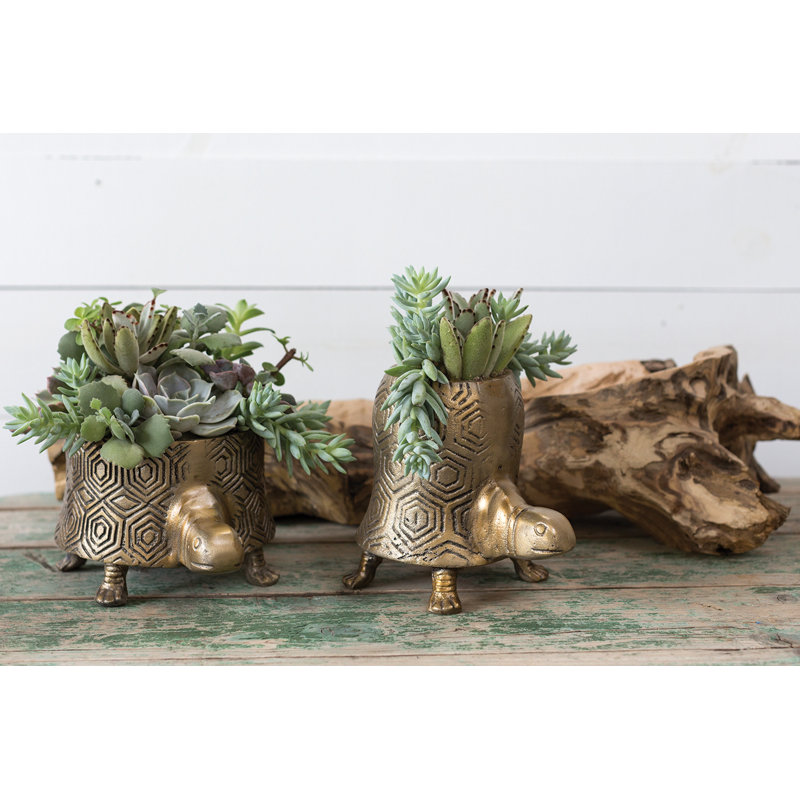 Pot à tortues Tommie, H 7,50 po x l 5,25 po x P 6,25 po