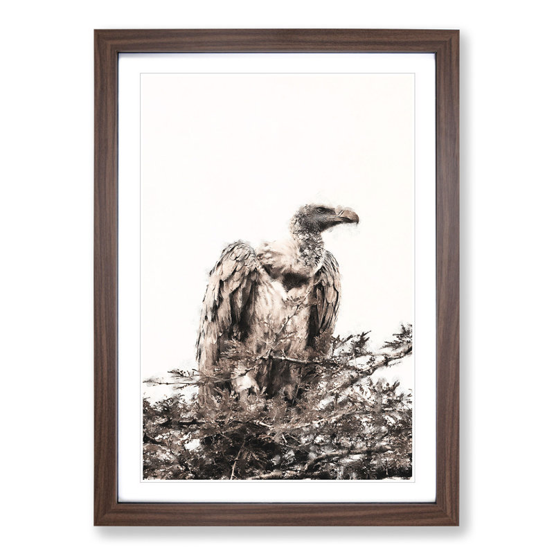 Vulture Vol.1 Painting - Picture Frame Graphic Art, Walnut, 65cm H x 48cm W x 2cm D