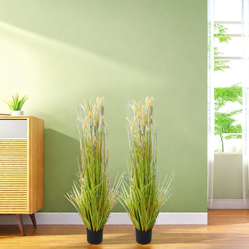 Andin 120cm Plant