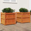 Wooden Kogut Flower Box-405712114-404620896-404620899