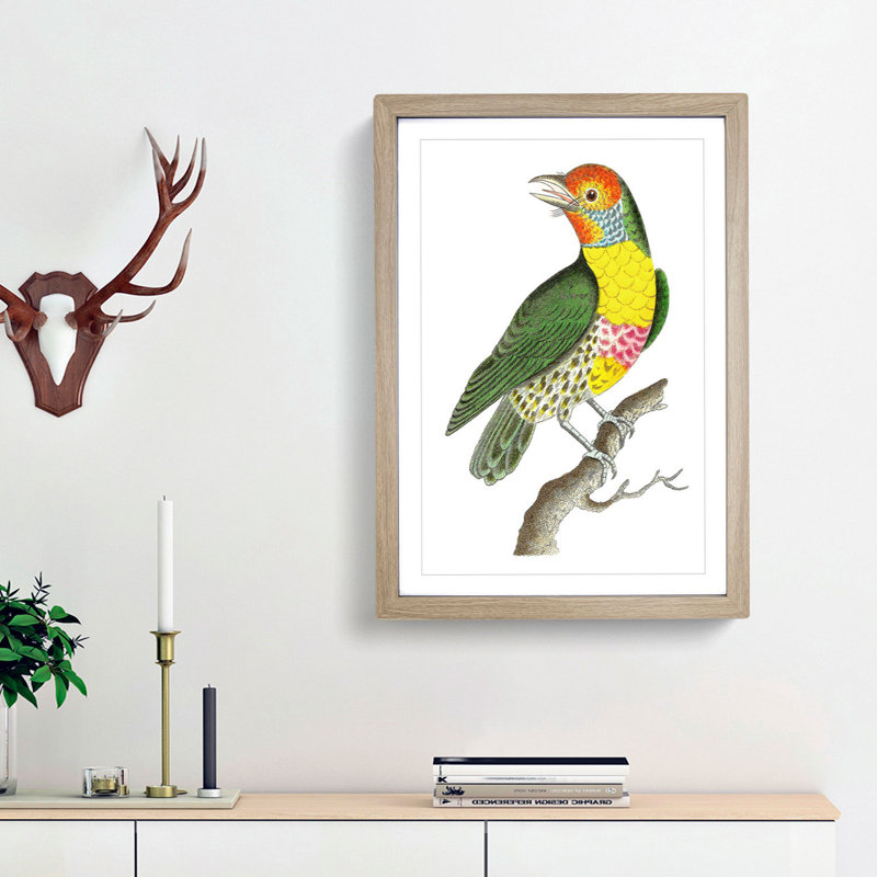 Mayna Barbet Bird by George Shaw - Picture Frame Painting Print, 36cm H x 27cm W x 2cm D, Oak Framed