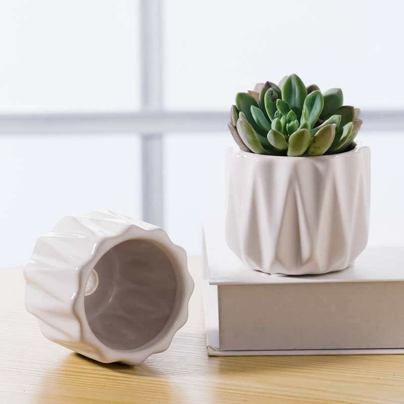 Saija 5" Devi Round Ceramic Planter, White